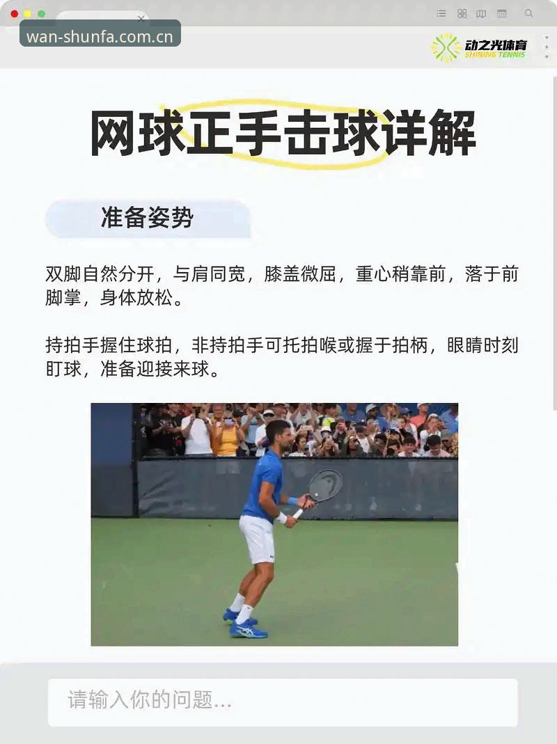 顺发体育平台新手入门详解：从注册到实战的完整指南